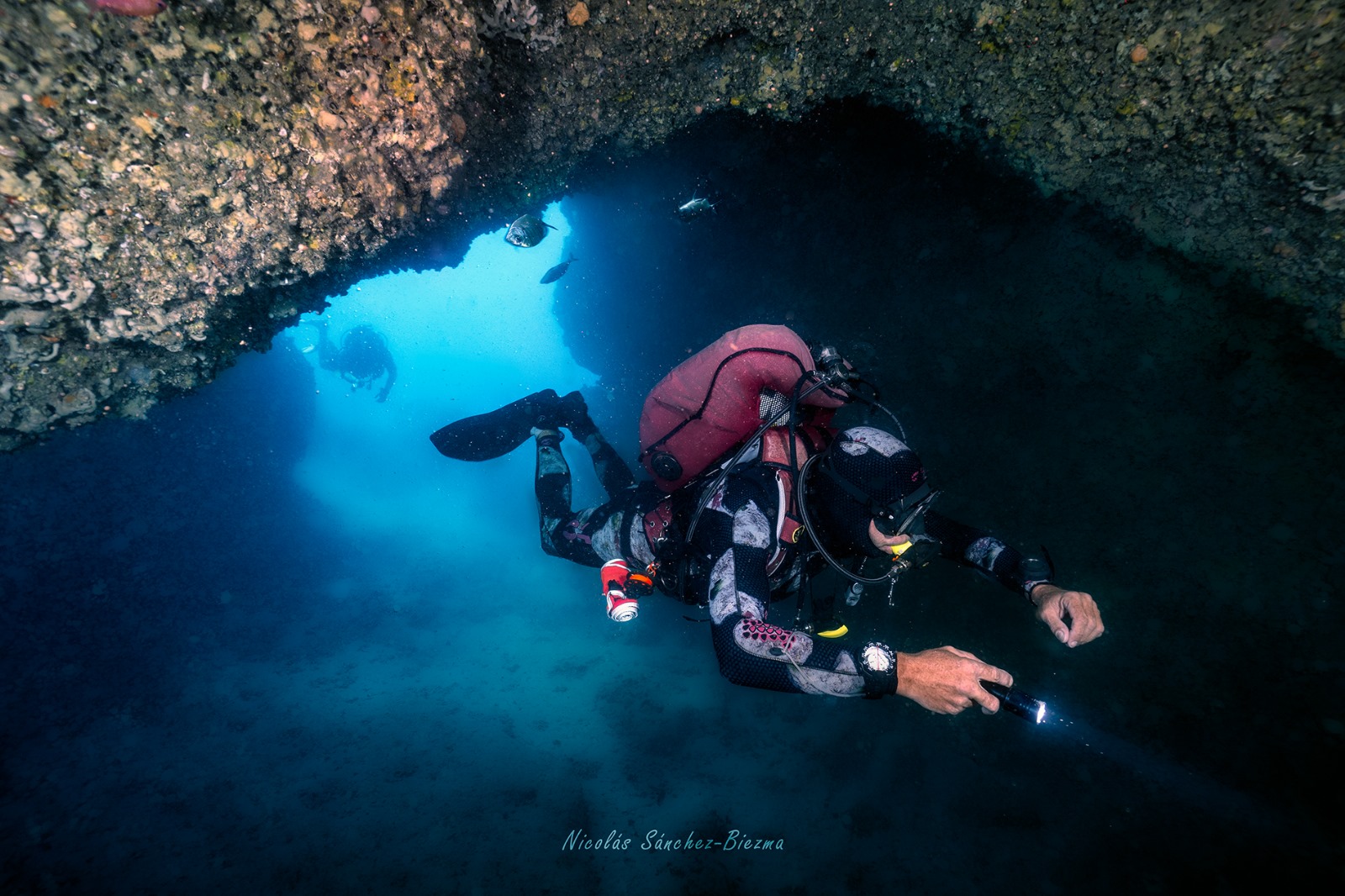 Guided Dives